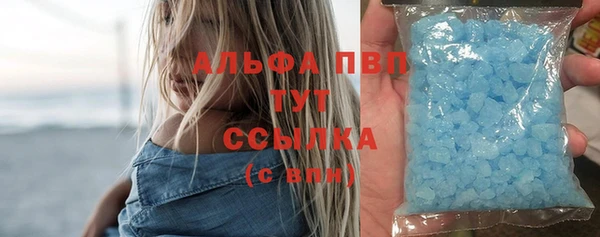 трава Белокуриха
