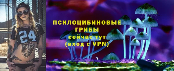 дмт Баксан