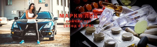 трава Белокуриха
